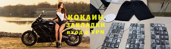 сатива Коряжма