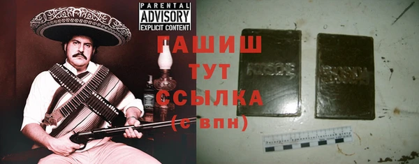 сатива Коряжма