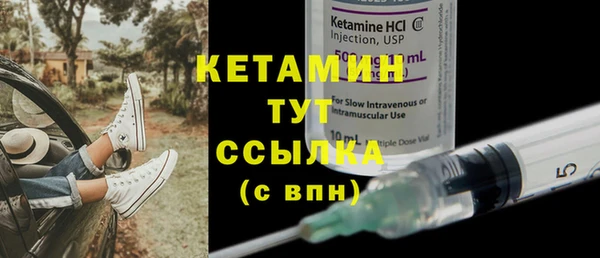 сатива Коряжма