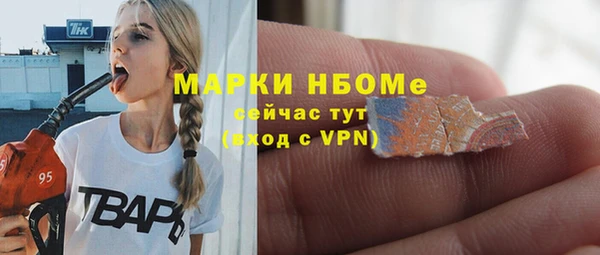 сатива Коряжма