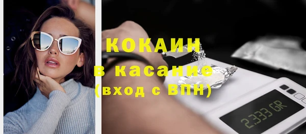 сатива Коряжма