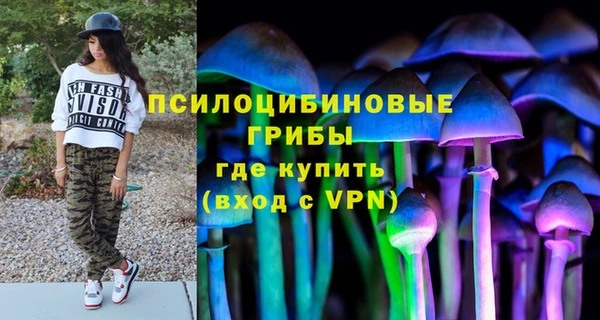 сатива Коряжма