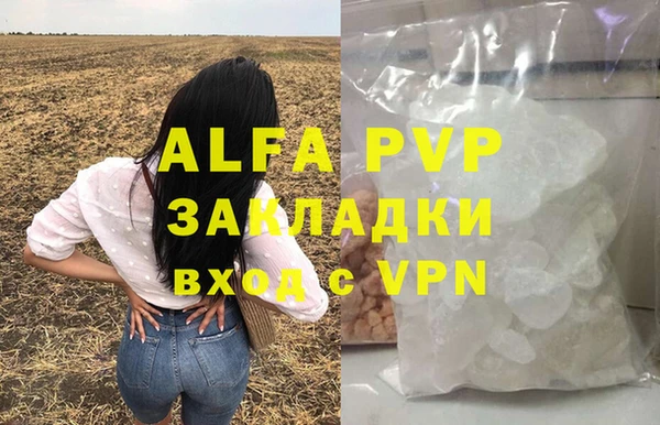 сатива Коряжма
