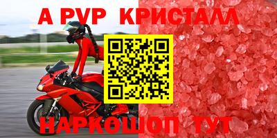 шишки Краснознаменск