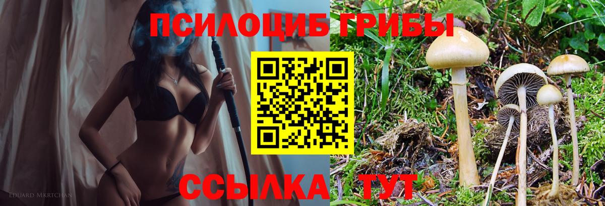 МЕФ Южноуральск