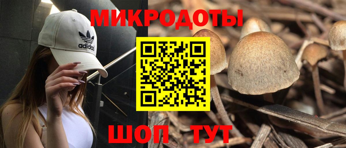 Галлюциногенные грибы Cubensis Южноуральск