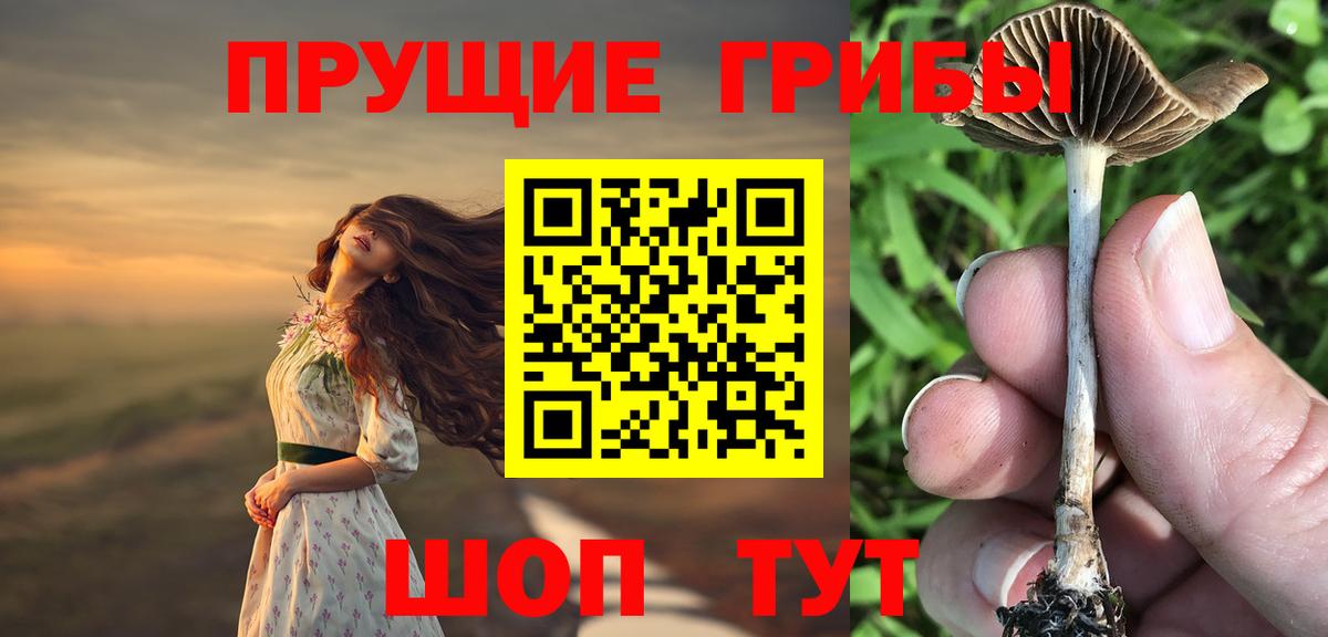 Псилоцибиновые грибы прущие грибы  Южноуральск 
